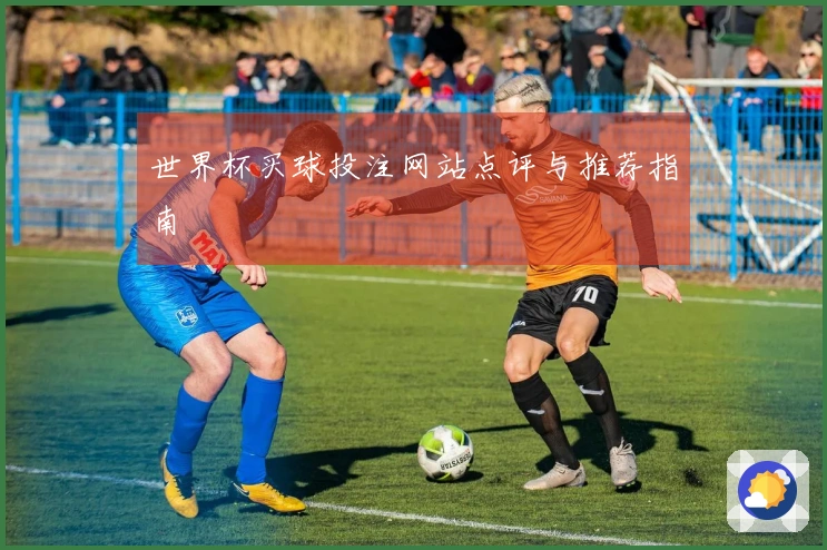 世界杯买球投注网站点评与推荐指南