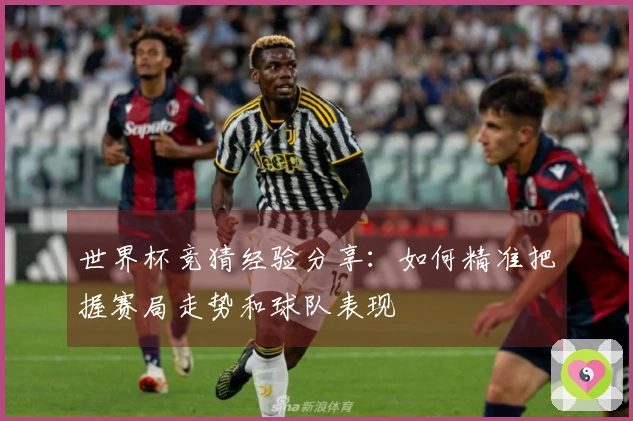 世界杯竞猜经验分享：如何精准把握赛局走势和球队表现